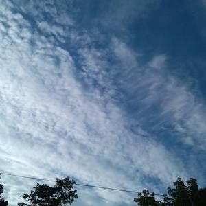 Meet your Posher, Mona